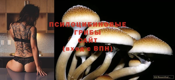 крисы Михайловка