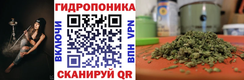 Бошки марихуана Ganja MEGA ссылка Катав-Ивановск